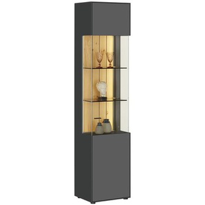 Jette Home Vitrine  Como ¦ grau ¦ Maße (cm): B: 47 H: 206 T: 38.0