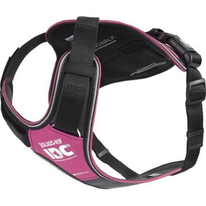 Julius-K9 K9 IDC Longwalk - pink-grey L
