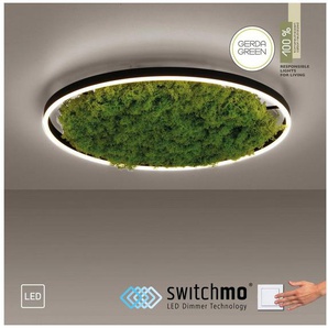 JUST LIGHT Deckenleuchte GREEN RITU, LED fest integriert, Warmweiß