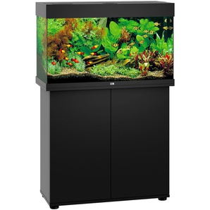 JUWEL AQUARIEN Aquarien-Set Rio 125 LED Vivarien 125 Liter, Gesamtmaß BxTxH: 81x36x123 cm, mit Unterschrank Gr. B/H/T: 81 cm x 50 cm x 36 cm, 125 l, schwarz Aquarium-Becken
