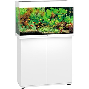 JUWEL AQUARIEN Aquarien-Set Rio 125 LED Vivarien 125 Liter, Gesamtmaß BxTxH: 81x36x123 cm, mit Unterschrank Gr. B/H/T: 81 cm x 50 cm x 36 cm, 125 l, weiß Aquarium-Becken