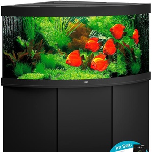 JUWEL AQUARIEN Aquarien-Set Trigon 350 LED + SBX Trigon 350 Vivarien 350 Liter, BxTxH: 123x87x138 cm, mit Unterschrank, Inkl. Starter-Set Gr. B/H/T: 123 cm x 65 cm x 87 cm, 350 l, schwarz Aquarium-Becken