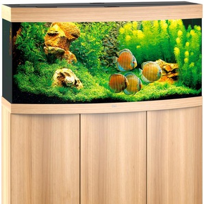 JUWEL AQUARIEN Aquarien-Set Vision 260 LED + SBX Vision 260 Vivarien BxTxH: 121x46x144 cm, 260 l, mit Unterschrank Gr. B/H/T: 121 cm x 64 cm x 46 cm, 260 l, beige (natur) Aquarium-Becken