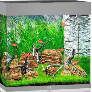 JUWEL AQUARIEN Aquarium Lido 120 LED Vivarien BxTxH: 61x41x58 cm, 120 l, inkl. MultiLux LED Einsatzleuchte Gr. B/H/T: 61 cm x 58 cm x 41 cm, 120 l, grau Aquarium-Becken Vivarien