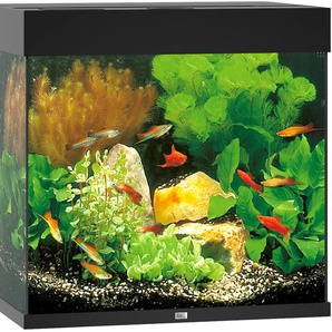 JUWEL AQUARIEN Aquarium Lido 120 LED Vivarien BxTxH: 61x41x58 cm, 120 l, inkl. MultiLux LED Einsatzleuchte Gr. B/H/T: 61 cm x 58 cm x 41 cm, 120 l, schwarz Aquarium-Becken Vivarien