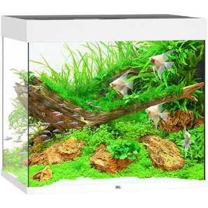 JUWEL AQUARIEN Aquarium Lido 200 LED Vivarien BxTxH: 71x51x65 cm, 200 l, inkl. MultiLux LED Einsatzleuchte Gr. B/H/T: 71 cm x 65 cm x 51 cm, 200 l, weiß Aquarium-Becken Vivarien