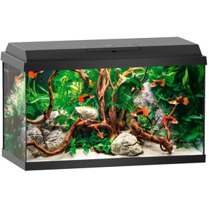 JUWEL AQUARIEN Aquarium Primo 60 Vivarien BxTxH: 61x31x37 cm, 60 l Gr. B/H/T: 61 cm x 37 cm x 31 cm, 60 l, schwarz Aquarium-Becken Vivarien