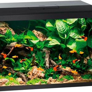 JUWEL AQUARIEN Aquarium Primo 70 Vivarien BxTxH: 61x31x44 cm, 70 l Gr. B/H/T: 61 cm x 44 cm x 31 cm, 70 l, schwarz Aquarium-Becken Vivarien