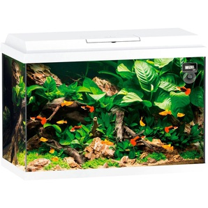 JUWEL AQUARIEN Aquarium Primo 70 Vivarien BxTxH: 61x31x44 cm, 70 l Gr. B/H/T: 61 cm x 44 cm x 31 cm, 70 l, weiß Aquarium-Becken Vivarien
