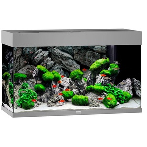 JUWEL AQUARIEN Aquarium Rio 125 LED Vivarien BxTxH: 81x36x50 cm, 125 l, inkl. MultiLux LED Einsatzleuchte Gr. B/H/T: 81 cm x 50 cm x 36 cm, 125 l, grau Aquarium-Becken Vivarien