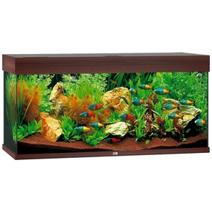 JUWEL AQUARIEN Aquarium Rio 180 LED Vivarien BxTxH: 101x41x50 cm, 180 l, inkl. MultiLux LED Einsatzleuchte Gr. B/H/T: 101 cm x 50 cm x 41 cm, 180 l, braun (dunkelbraun) Aquarium-Becken Vivarien