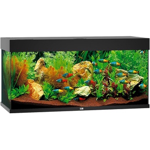 JUWEL AQUARIEN Aquarium Rio 180 LED Vivarien BxTxH: 101x41x50 cm, 180 l, inkl. MultiLux LED Einsatzleuchte Gr. B/H/T: 101 cm x 50 cm x 41 cm, 180 l, schwarz Aquarium-Becken Vivarien