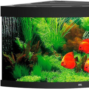 JUWEL AQUARIEN Aquarium Trigon 350 Vivarien BxTxH: 123x87x65 cm, 350 l, inkl. MultiLux LED Einsatzleuchte Gr. B/H/T: 123 cm x 65 cm x 87 cm, 350 l, schwarz Aquarium-Becken Vivarien