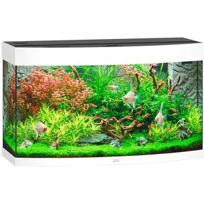 JUWEL AQUARIEN Aquarium Vision 180 LED Vivarien 180 Liter, BxTxH: 92x41x55 cm, inkl. MultiLux LED Einsatzleuchte Gr. B/H/T: 92 cm x 55 cm x 41 cm, 180 l, weiß Aquarium-Becken Vivarien