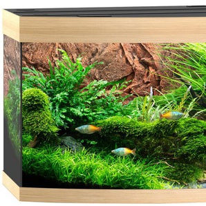 JUWEL AQUARIEN Aquarium Vision 450 LED Vivarien BxTxH: 151x61x64 cm, 450 l, inkl. MultiLux LED Einsatzleuchte Gr. B/H/T: 151 cm x 64 cm x 61 cm, 450 l, beige (holzfarben hell) Aquarium-Becken