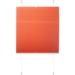 Plissee K-HOME Siena Plissees Gr. 210 cm, zweiseitig verschiebbar, 70 cm, orange (terra) Plissees ohne Bohren Plissee