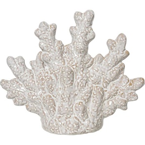 Kaemingk Tisch-Deko Muschel Porzellan 15 cm beige GFM1aed94d0a