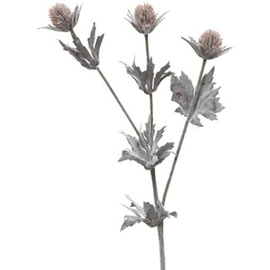 Kaemingk´s Blumen-Deko | Braun/Weiß