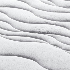 Kaltschaummatratze  Pro Body S ¦ weiß ¦ Maße (cm): B: 120 H: 22