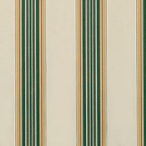 Kassettenmarkise WISMAR Classic S-Compact Markisen Gr. 550 cm, 300 cm, beige (beige, grün) Kassettenmarkisen Breite: 550 cm, Ausfall: 300 cm