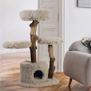 Katzenbaum Degraw