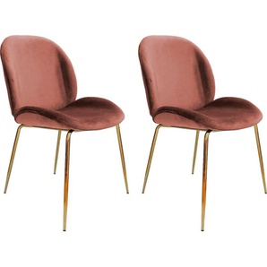 Kayoom Stuhl »Charlize 110 2er-Set, TOPSELLER! Esszimmerstühle,moderne Optik«, (Set), 2 St., Samtstoff, samtweicher Bezug, bequem, zeitlos, moderne Optik