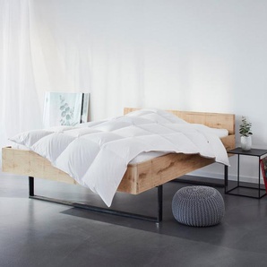Keller Daunenbettdecke + Kopfkissen Sandra, Bettwaren-Set in 135x200 oder 155x220 cm, Sommer oder Winter, Füllung: 60% Daunen 40% Federn, Bezug: 100% Baumwolle, Bettwaren-Set Made in Germany