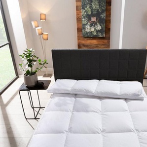 Keller Daunenbettdecke Star, Bettdecken für Sommer oder Winter, Decke, Ganzjahresdecke, Füllung: 100% Daunen, Bezug: 100% Baumwolle, Bettdecke 135x200 cm, 155x220 cm und weitere Größen, Made in Germany