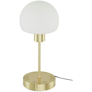 KHG LED-Tischleuchte  1-flammig  messingfarben mit Touchdimmer   ¦ gold ¦ Maße (cm): H: 31,5  Ø: 13.5