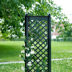 KHW Spalier, BxTxH: 43x6x140 cm, grün