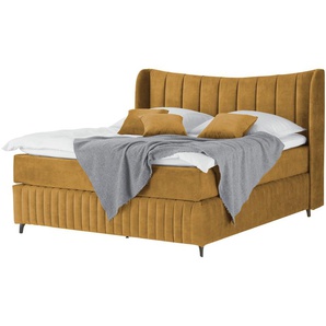 Kings and Queens Boxspringbett  Uldur - gold - Materialmix - 174 cm - 122 cm | Möbel Kraft