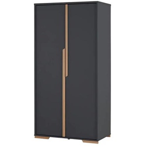 Kleiderschrank - grau - Materialmix - 98,5 cm - 195 cm - cm 56,0 | Möbel Kraft