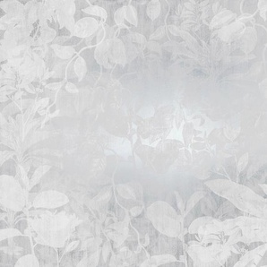 KOMAR Fototapete Flora Tapeten Gr. B/L: 4 m x 2,8 m, Rollen: 1 St., grau (silber, grau, weiß) Fototapeten Blumen Tapeten