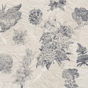 Komar Fototapete Digitaldruck Vlies - Botanical Papers - Größe 300 x 280 cm, glatt, bedruckt, (Packung, 1 St., Vlies Fototapete), Vlies Fototapete - Botanical Papers - Größe 300 x 280 cm