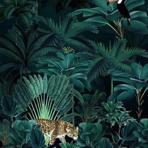 Komar Vliestapete Jungle Night, 200x250 cm (Breite x Höhe)