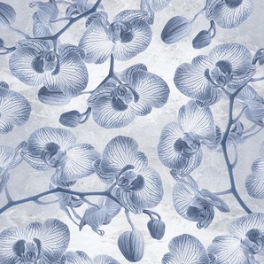 KOMAR Fototapete Orchidée Tapeten bedruckt, botanisch, floral, Vlies, Wand, Decke, Schräge Gr. B/L: 2 m x 25 m, Rollen: 1 St., blau (blau, weiß) Fototapeten Blumen
