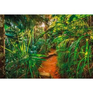 Komar Fototapete , Papier , 368x254 cm , FSC , Tapeten Shop, Fototapeten