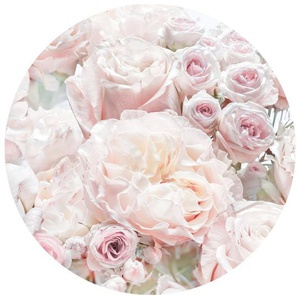 Komar Fototapete Vlies selbstklebend - Pink and Cream Roses - Größe 125 x 125 cm, glatt, bedruckt, (1 St), Wohnzimmer, Schlafzimmer