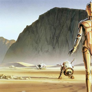 KOMAR Fototapete Star Wars Classic RMQ Droids Tapeten Gr. B/L: 5 m x 2,5 m, Rollen: 1 St., gelb (gelb, braun) Fototapeten Film Tapeten