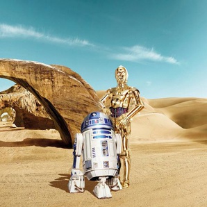 Komar Fototapete Star Wars Lost Droids, 368x254 cm (Breite x Höhe), inklusive Kleister