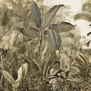 Komar Fototapete Digitaldruck Vlies - Adventure Awaits - Größe 400 x 250 cm, glatt, bedruckt, floral, geblümt, gemustert, tropisch, (Packung, 1 St., Lieferung auf Rolle in stabiler Kartonhülse), Wohnzimmer, Schlafzimmer