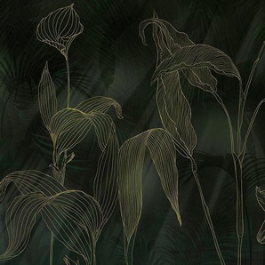 Komar Fototapete Digitaldruck Vlies - Darkest Green - Größe 400 x 250 cm, glatt, bedruckt, floral, geblümt, gemustert, tropisch, (Packung, 1 St., Lieferung auf Rolle in stabiler Kartonhülse), Wohnzimmer, Schlafzimmer
