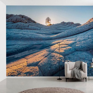 Komar Fototapete Digitaldruck Vlies - Elephant Skin - Größe 400 x 250 cm, glatt, bedruckt, (Packung, 1 St), Wohnzimmer, Schlafzimmer