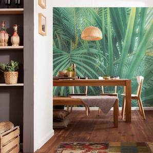 Komar Fototapete Digitaldruck Vlies - Foggy Fern - Größe 400 x 250 cm, glatt, bedruckt, (Packung, 1 St), Wohnzimmer, Schlafzimmer