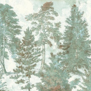 Komar Fototapete Digitaldruck Vlies - Pale Panoramic - Größe 400 x 250 cm, glatt, bedruckt, floral, geblümt, gemustert, tropisch, (Packung, 1 St., Lieferung auf Rolle in stabiler Kartonhülse), Wohnzimmer, Schlafzimmer