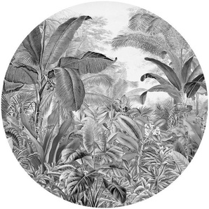 Komar Fototapete Vlies selbstklebend - Wild Woods - Größe 125 x 125 cm, glatt, bedruckt, (1 St), Wohnzimmer, Schlafzimmer