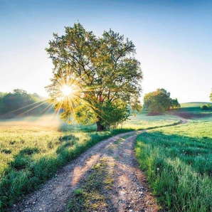 Komar Vliestapete Digitaldruck Vlies - A New Day in Paradise - Größe 400 x 250 cm, glatt, bedruckt, (1 St), Wohnzimmer, Schlafzimmer