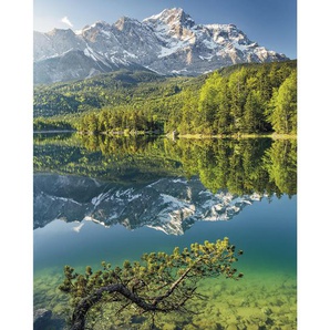 Komar Vliestapete , Bäume , 200x250 cm , FSC MIX , Tapeten Shop, Vliestapeten