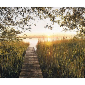 Komar Vliestapete , Bäume , 300x250 cm , FSC MIX , Tapeten Shop, Vliestapeten