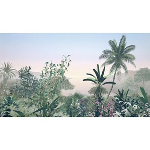 Komar Vliestapete , Bäume , 500x280 cm , FSC MIX , Tapeten Shop, Vliestapeten